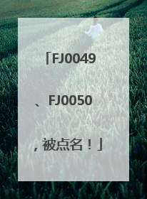 FJ0049、FJ0050，被点名！